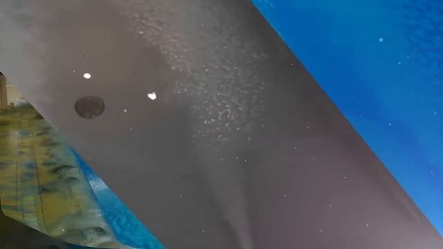 Сауна Тропическая Астрахань