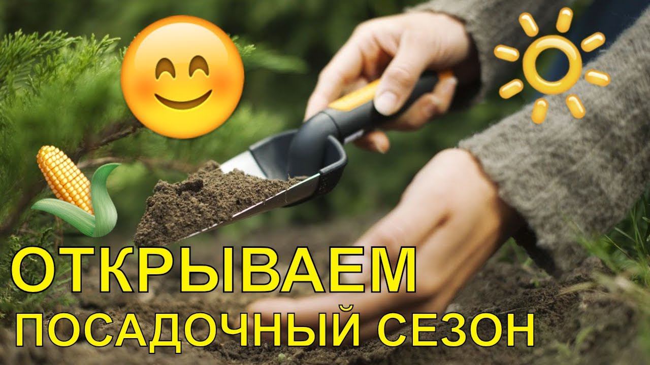 ОТКРЫВАЕМ ПОСАДОЧНЫЙ СЕЗОН 2019! САЖАЕМ ПЕРВЫЕ СЕМЕНА!