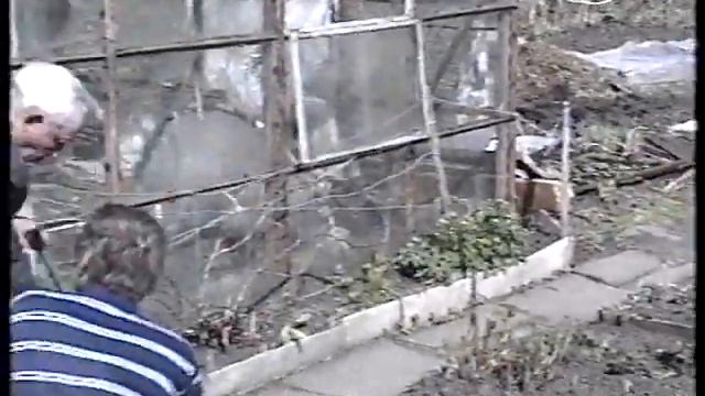 Родительский день 2 мая 1995