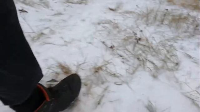 БЕГ В ЛЕСУ ЗИМОЙ
