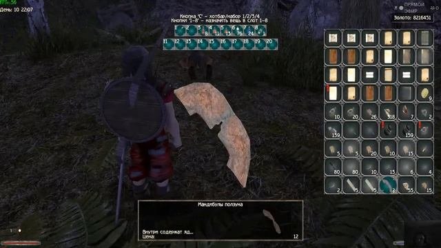 01 Gothic 2 New balance episode 11