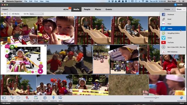 Adobe Photoshop Elements 15 - Sharing - Cherri International