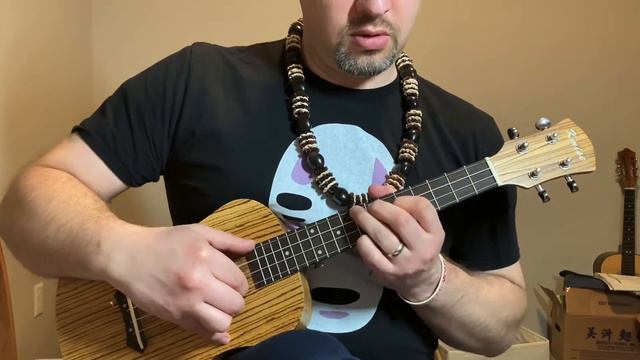 If I Could be the Sea - Ocean Waves - Ghibli Ukulele