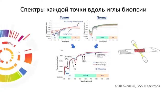 Дмитрий Дылов | Искусственный интеллект в медицине