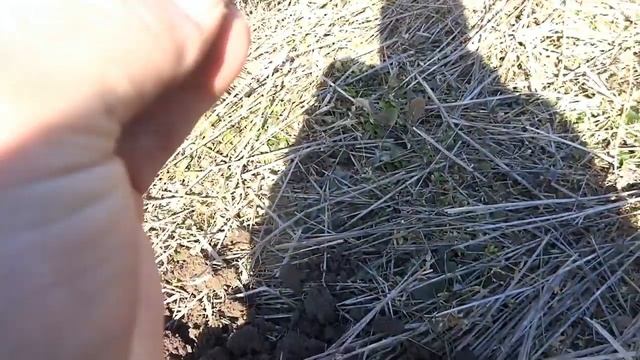 Екатерина III (мега-удачный коп) портретное серебро и не только.