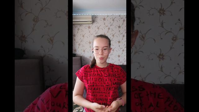 InShot_20240702_170202159.mp4