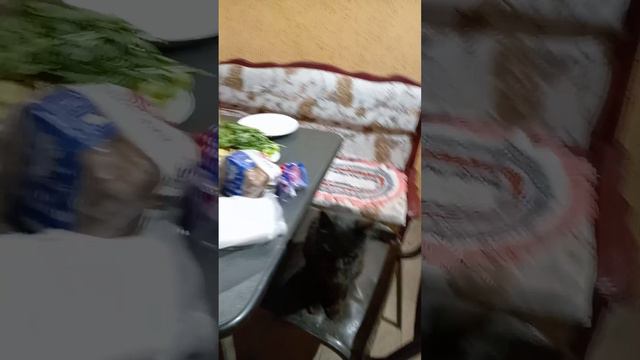ЁЖИК пришел к нам в гости!!!