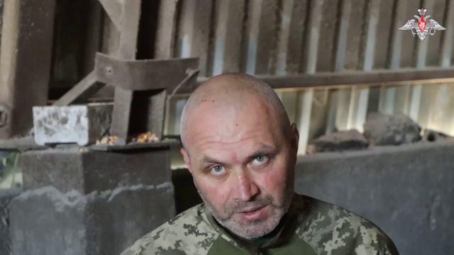 ВС РФ взяли в плен более 70 боевиков ВСУ в районе Берестового Харьковской области