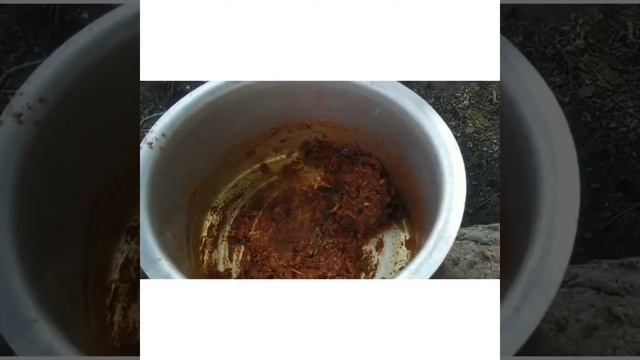 seraga samba chicken biriyani ?MGs village food healthy food