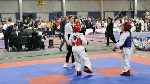 Тхэквондо. Краснознаменск, 11.02.2023