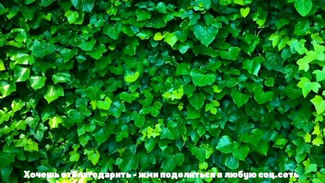Развитие КОНЦЕНТРАЦИИ внимания ➜ Достижение ЦЕЛИ
