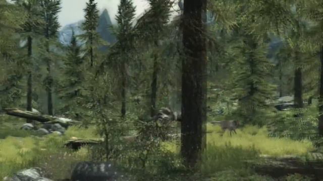 The Elder Scrolls V: SKYRIM - 'The Dragonborn Comes' (Cover)