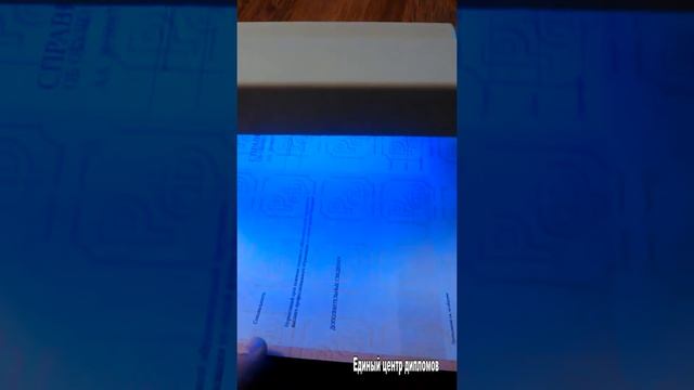 Справка об обучении 2014