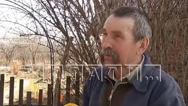 Один окурок убил 6 пчелиных семей в Воротынском районе