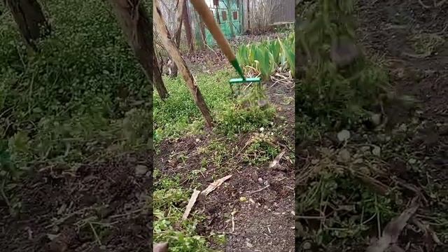 Полольник метлайдера. Уборка мокрицы. Сапка. Сапа "корейка" . Садовая бритва