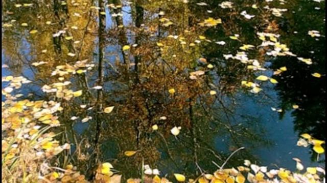 Юрий Визбор. А зима будет большая.avi