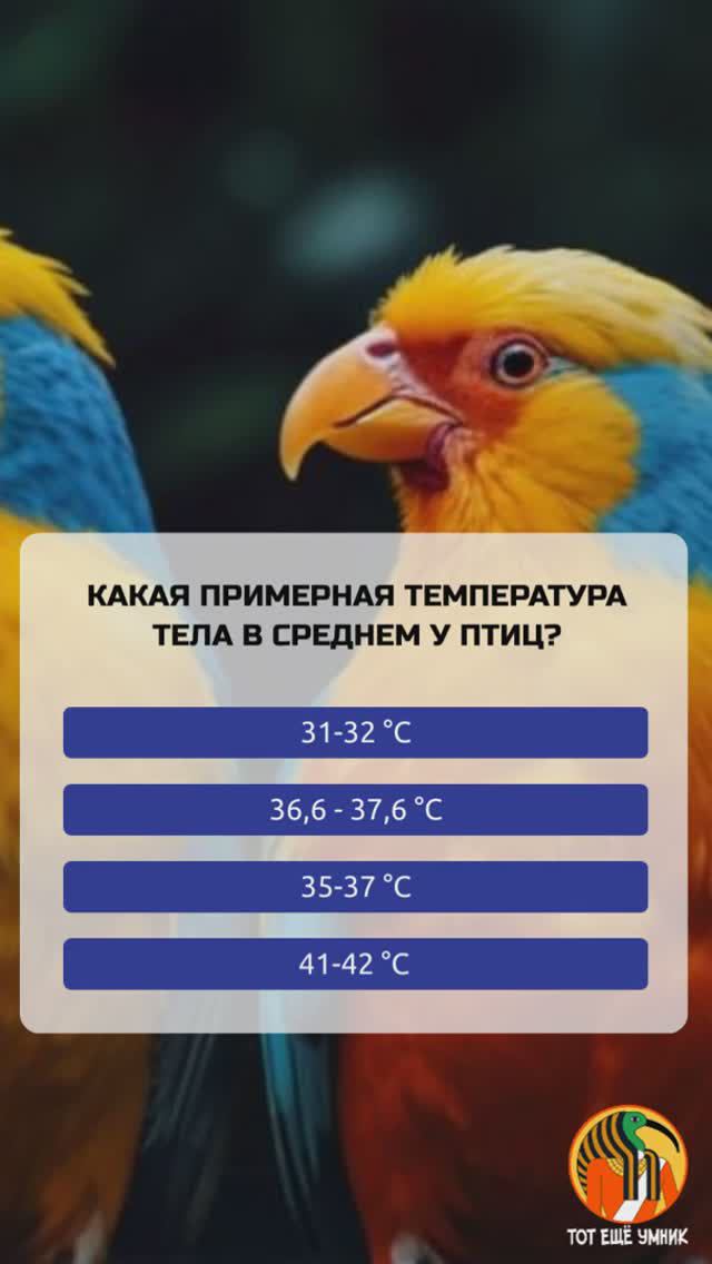 Какая примерная температура в среднем у птиц?