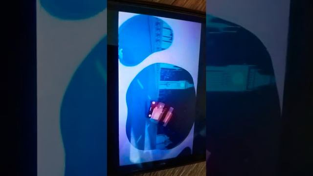 101 далматинец песня на англиском и на русском