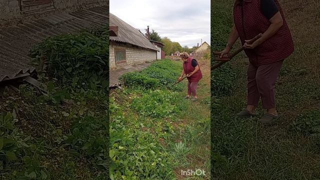 1000067163.mp4