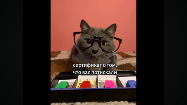 что если бы коты были Полицейские