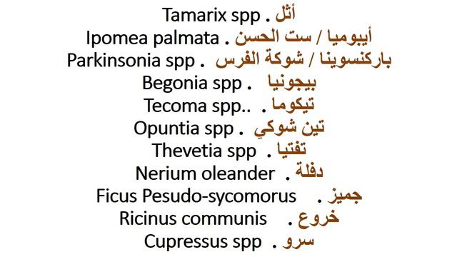 اهم النباتات ومكانها المناسب حسب الظروف الجوية حلقة ٤٣٨