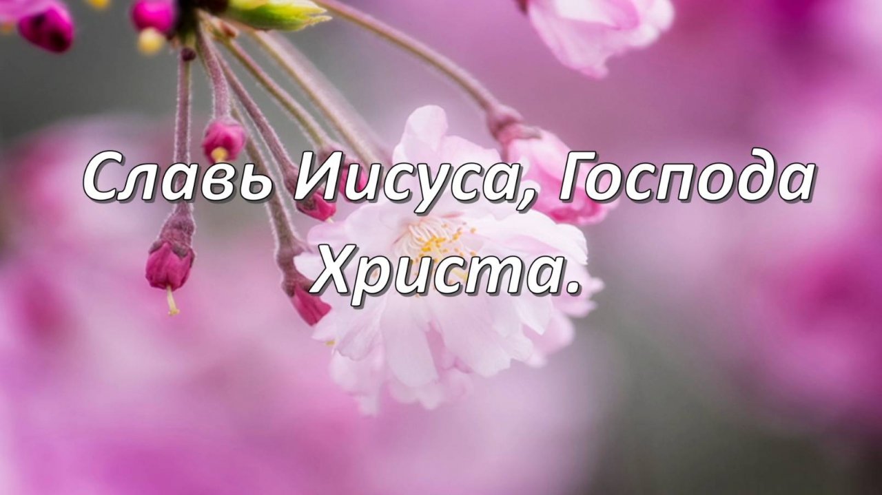 Славь Иисуса, Господа Христа