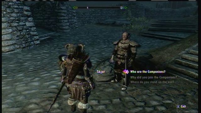Skyrim: Female (Ryoko) Dark Elf Walkthrough Part 37 *The Companions Quests*