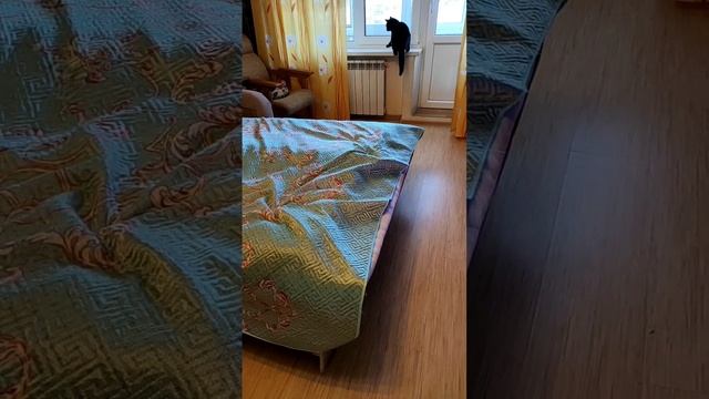 Прыжки замедленно