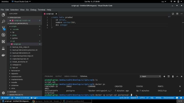 Ejecutar Script en postgreSQL dentro de un contenedor