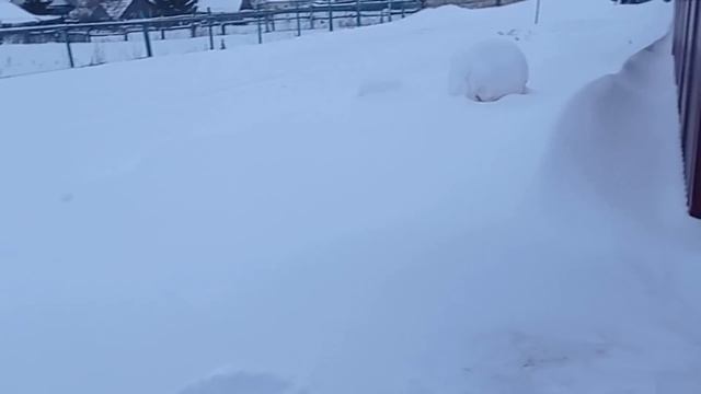 Завалило мою снегоуборочную машину . Маша не хочет здороваться.