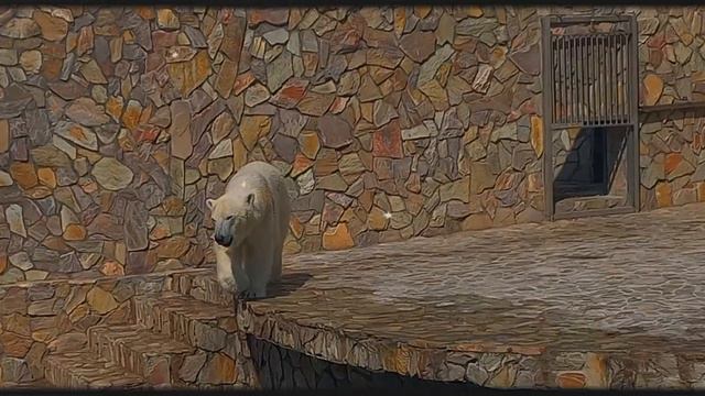 Ленинградский зоопарк - место восстановления энергии🦩