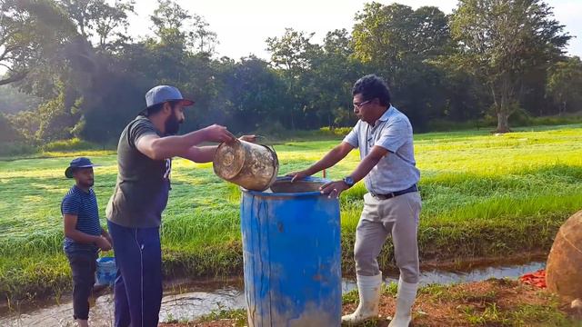 බල්ලො කන්නේ නැති දියර පොහොර හදන්නේ මෙහෙමයි - තිලක් කන්දේගම /  Liquid Organic Fertilizer Sri Lanka