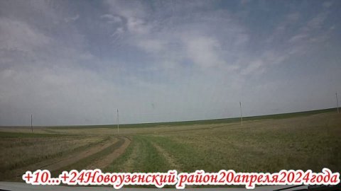 Дорога до тюльпанной степи Новоузенского района 20 апреля 2024 года