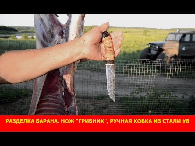 Разделка барана на колбасу. Нож "Грибник", ручная ковка из стали У8