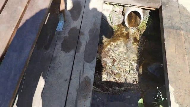 источник 14.07.24