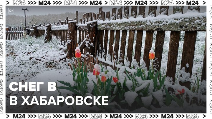Новости регионов: снег выпал в Хабаровском крае в конце мая - Москва 24