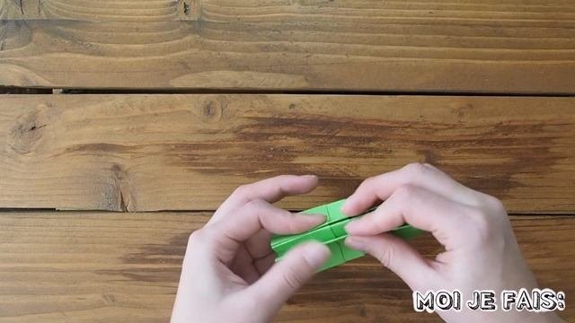 DIY - Origami FACILE : Le Cactus