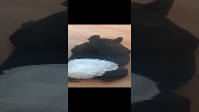Моняша, Моничка,детка моя любимая это последнее видео за несколько часов до твоей?