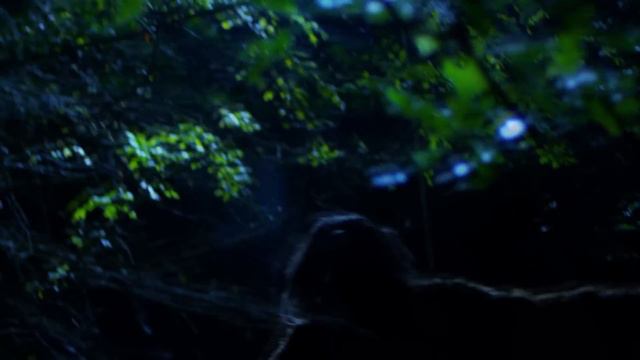 Skookum - The Louisiana swamp is a perfect paradise, until the sun goes down.