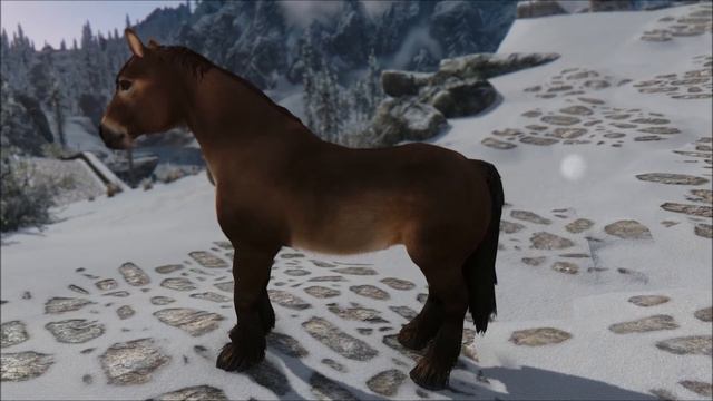 TES V - Skyrim - Realistic Primitive Horse Breeds - 2k: Before-After Comparison