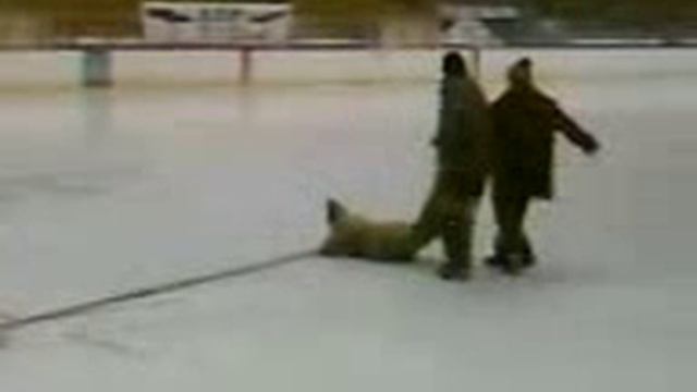 круги вбрасывания в Румынии