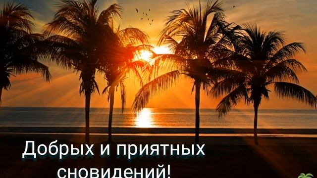 Добрых и приятных сновидений!