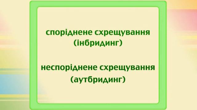 ШТУЧНИЙ ДОБІР