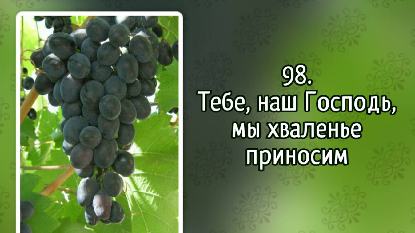 Гимны надежды 98 Тебе, наш Господь, мы хваленье приносим (-)