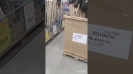 Ульяновск заснежило: ищем лопату)
