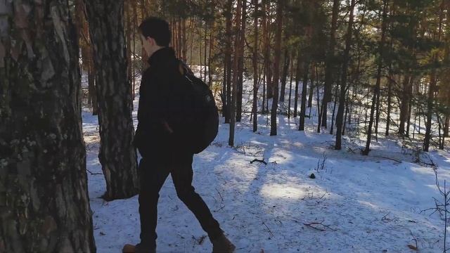 Зимний лес. Прогулка в лесу.