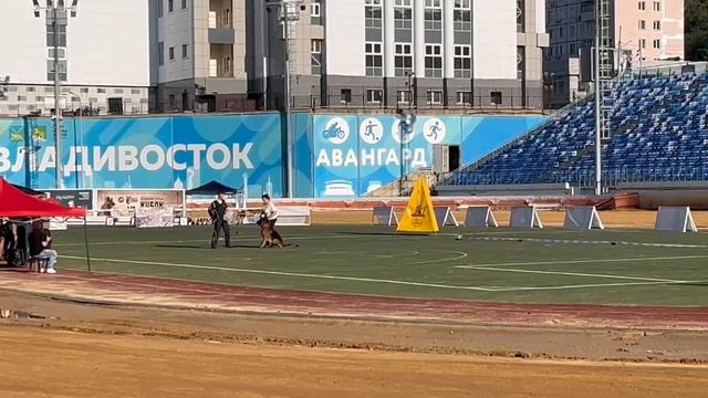 Пасифик Рим Деймон 2,5г.
Победитель рабочего класса 
Кубок  РСЛНО Владивосток