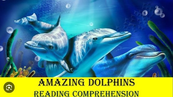 Короткие рассказы на английском с PDF упражнениями: "Amazing Dolphins"
