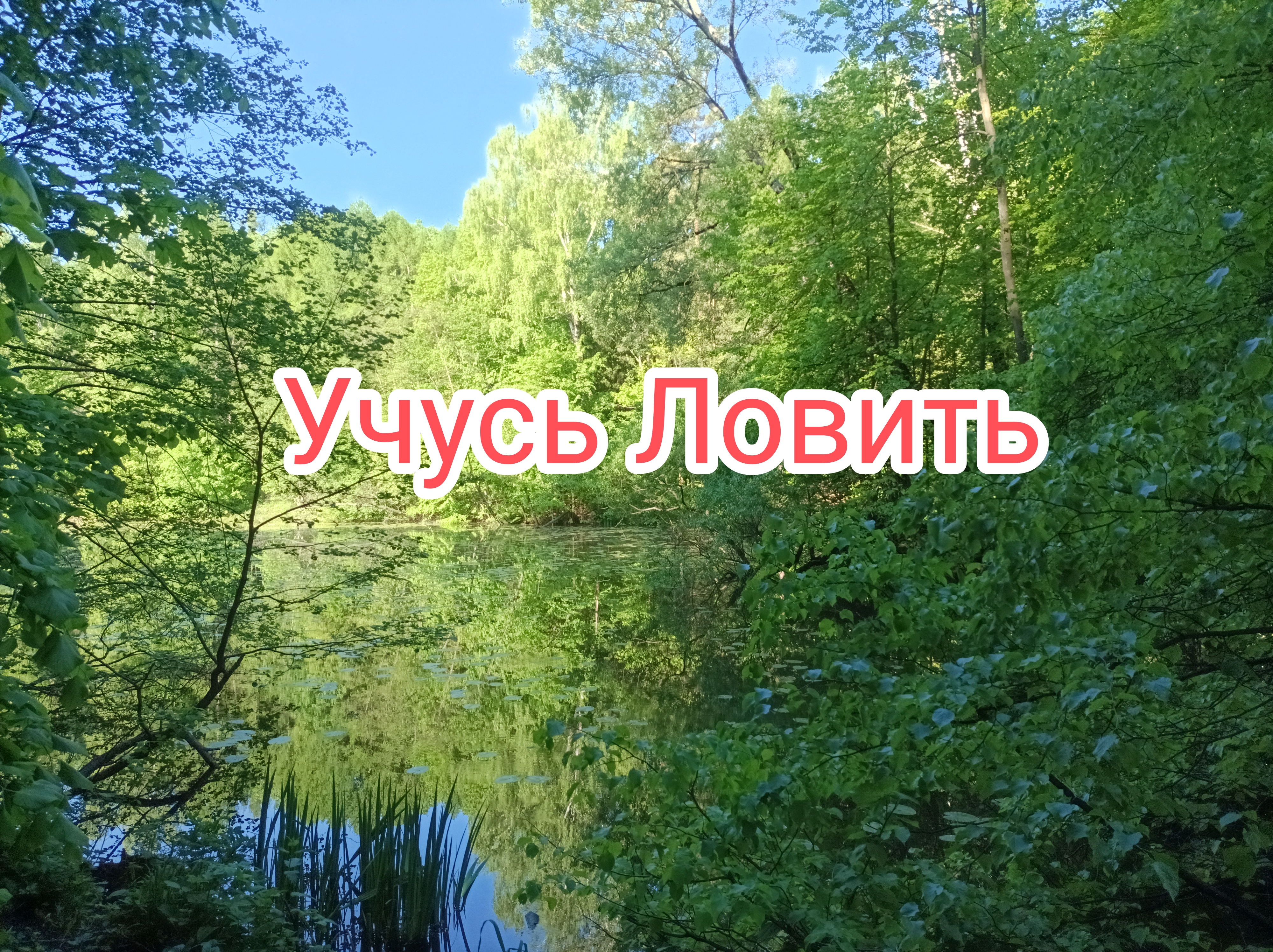 Рыбалка на канале им. Москвы.