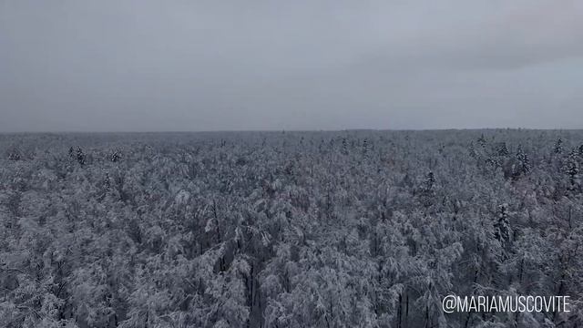 Национальный парк Лосиный остров. Москва